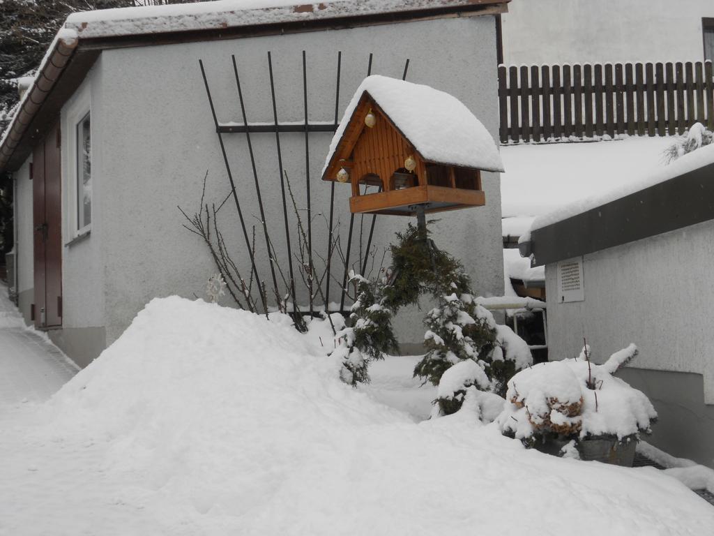 Ferienhaus Zittau Oberlausitz & Ferienwohnung Am Hamann Berg المظهر الخارجي الصورة