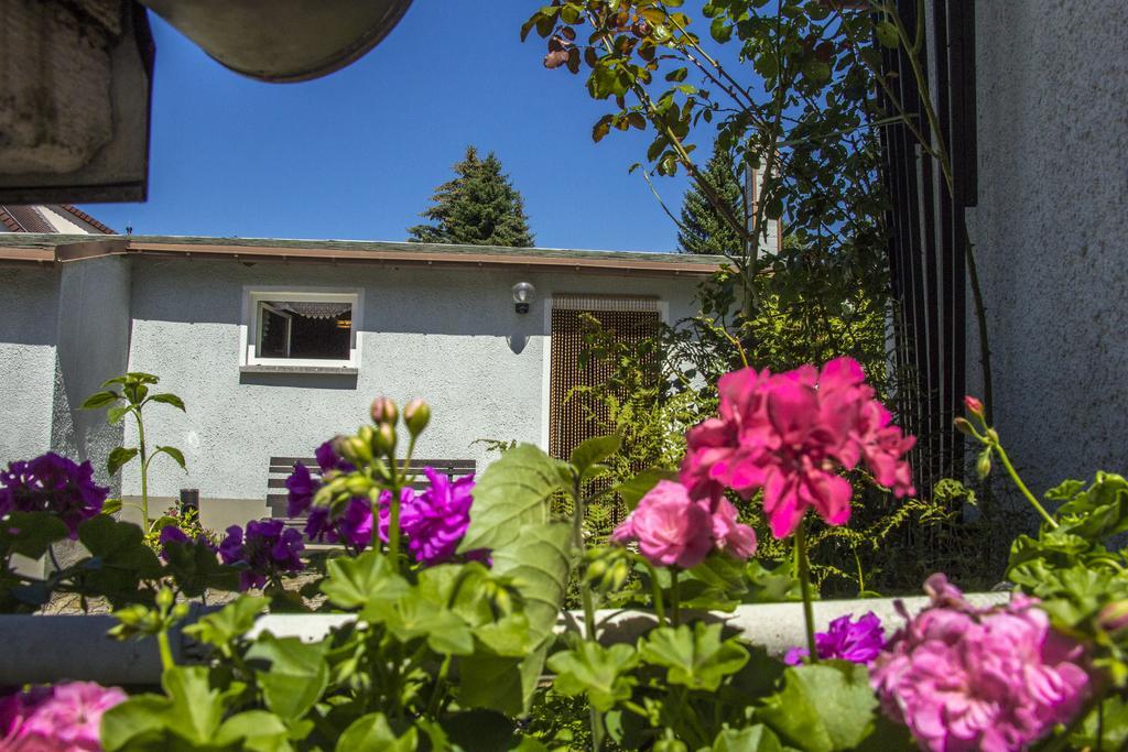 Ferienhaus Zittau Oberlausitz & Ferienwohnung Am Hamann Berg المظهر الخارجي الصورة
